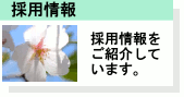 採用情報